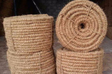 Adobe Express – file